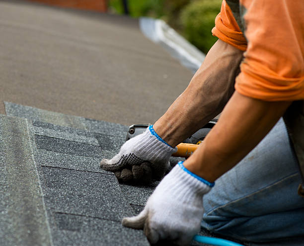 Roof Gutter Cleaning in Orange Park, FL